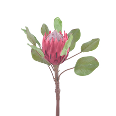 83CM Big Size King Protea Flowers,83CM Big Size King Protea Flowers