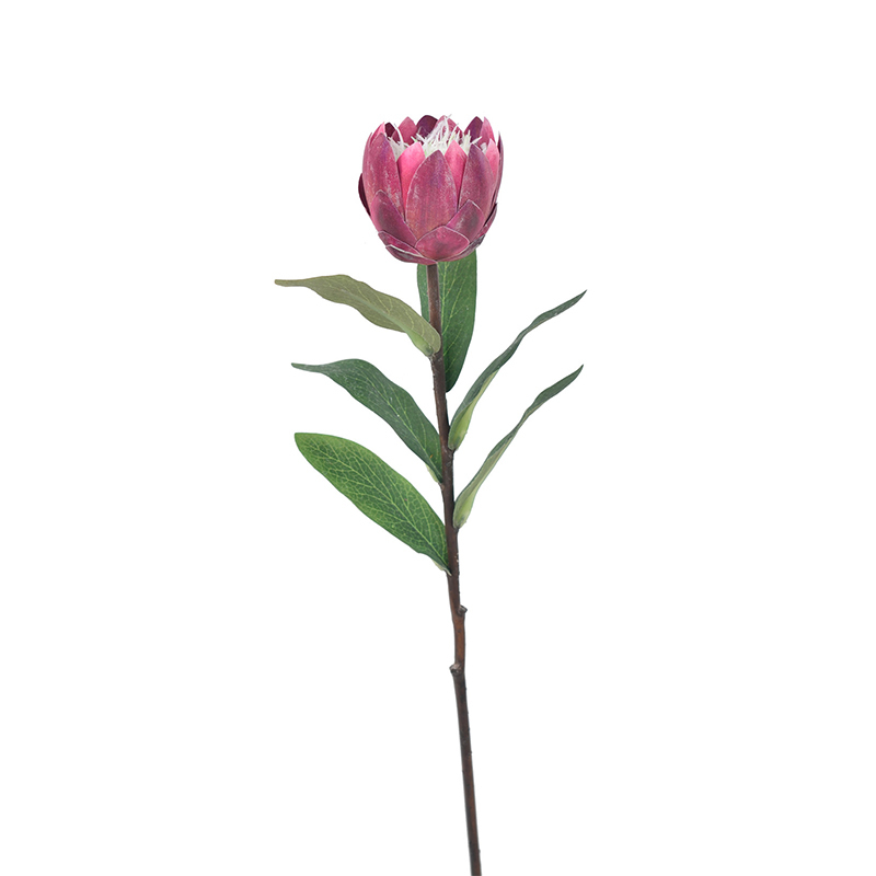 53CM Small King Protea Flower,53CM Small King Protea Flower