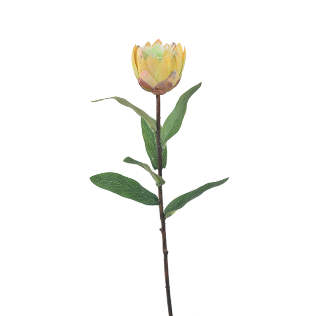 53CM Small King Protea Flower,53CM Small King Protea Flower