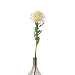 60CM Artificial Sunburst Pincushion Protea Flower,60CM Artificial Sunburst Pincushion Protea Flower