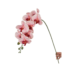 43.5-Inch Artificial Phalaenopsis Orchid Flower,43.5-Inch Artificial Phalaenopsis Orchid Flower