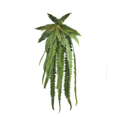 120CM 150CM Faux Hanging Fern Plants,120CM 150CM Faux Hanging Fern Plants