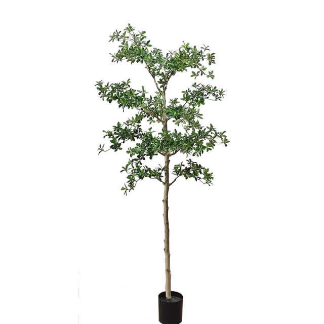 PREMIUM FAUX SHADY LADY BLACK OLIVE TREES,180CM(6') 210CM(7') 240CM(8') 290CM(9') PREMIUM -- Chinese suppliers FAUX SHADY LADY BLACK OLIVE TREES