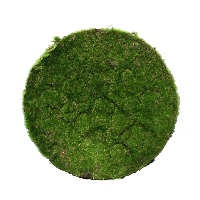 25CM 30CM 35CM 40CM Diameter Round Faux Grass Turf,25CM 30CM 35CM 40CM Diameter Round Faux Grass Turf