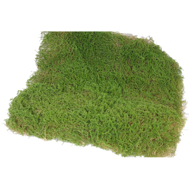 45*45CM Faux Moss Panel,45*45CM Faux Moss Panel