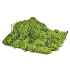100CM Artificial Bryophyte Mat,100CM Artificial Bryophyte Mat