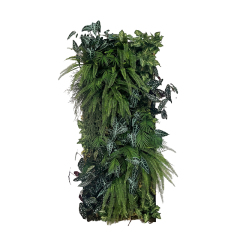 Interior Vertical Green Wall Design,Interior Vertical Green Wall Design