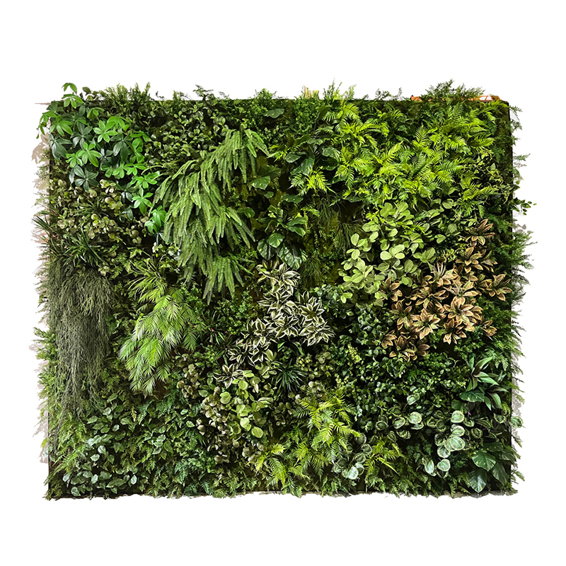 Vertical Garden & Green Wall Plants,Vertical Garden & Green Wall Plants