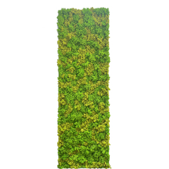 Customized Sizes Preserved Reindeer Moss Wall,Customized Sizes Preserved Reindeer Moss Wall