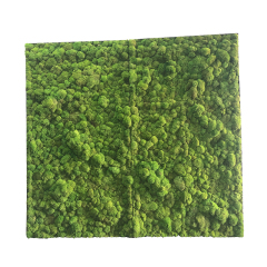 Customized Sizes Preserved Pole Moss Wall,Customized Sizes Preserved Pole Moss Wall