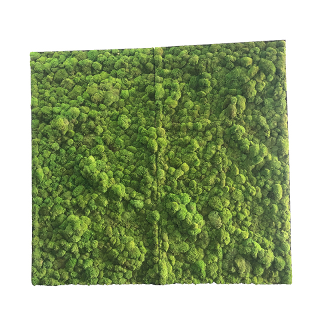 Customized Sizes Preserved Pole Moss Wall,Customized Sizes Preserved Pole Moss Wall