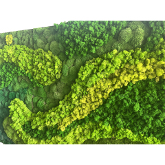 Customized Sizes Pole Moss & Reindeer Moss Wall,Customized Sizes Pole Moss & Reindeer Moss Wall