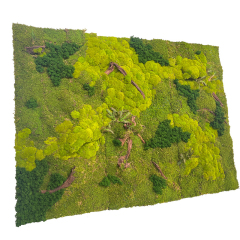 Customized Sizes Preserved Moss Wall (Pole Moss & Reindeer Moss),Customized Sizes Preserved Moss Wall (Pole Moss & Reindeer Moss)