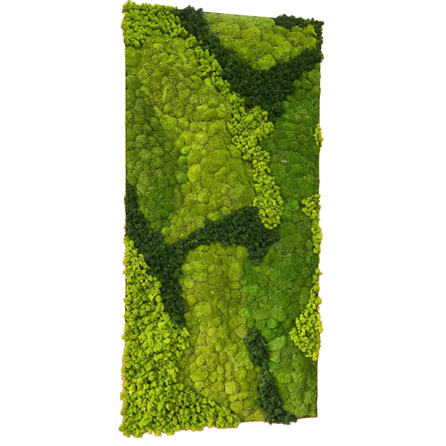 Customized Sizes Pole Moss Mixed Reindeer Moss Green Wall,Customized Sizes Pole Moss Mixed Reindeer Moss Green Wall