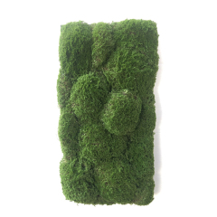 Customized Sizes Faux Moss Wall,Customized Sizes Faux Moss Wall