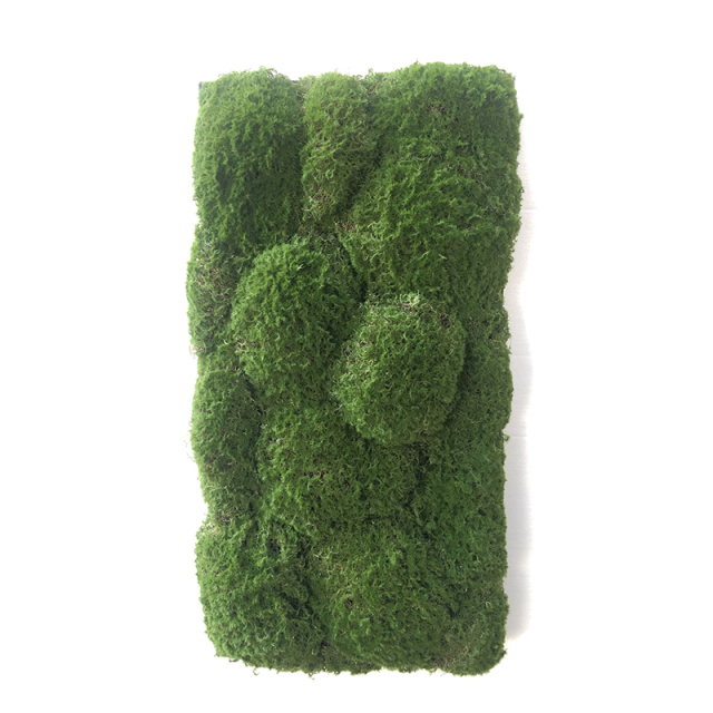 Customized Sizes Faux Moss Wall,Customized Sizes Faux Moss Wall