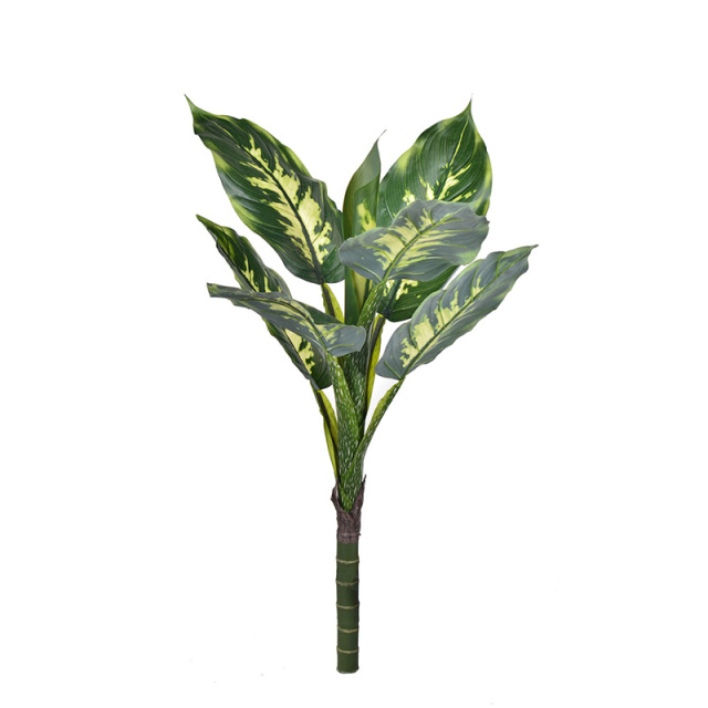 115CM Evergreen Leaf Plant,115CM Evergreen Leaf Plant