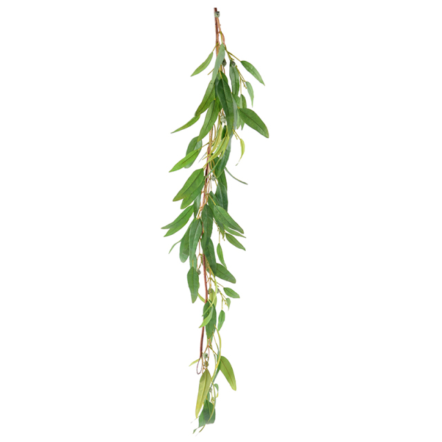 110CM Long Leaf Eucalyptus Hanging Plant,110CM Long Leaf Eucalyptus Hanging Plant