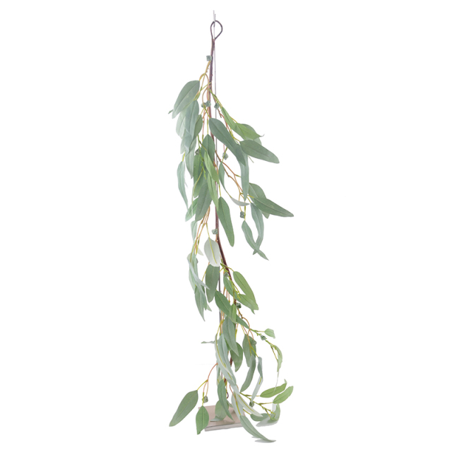 110CM Long Leaf Eucalyptus Hanging Plant,110CM Long Leaf Eucalyptus Hanging Plant