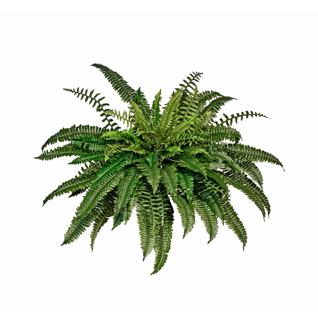 Big Size Faux Boston Fern Plant,Big Size Faux Boston Fern Plant