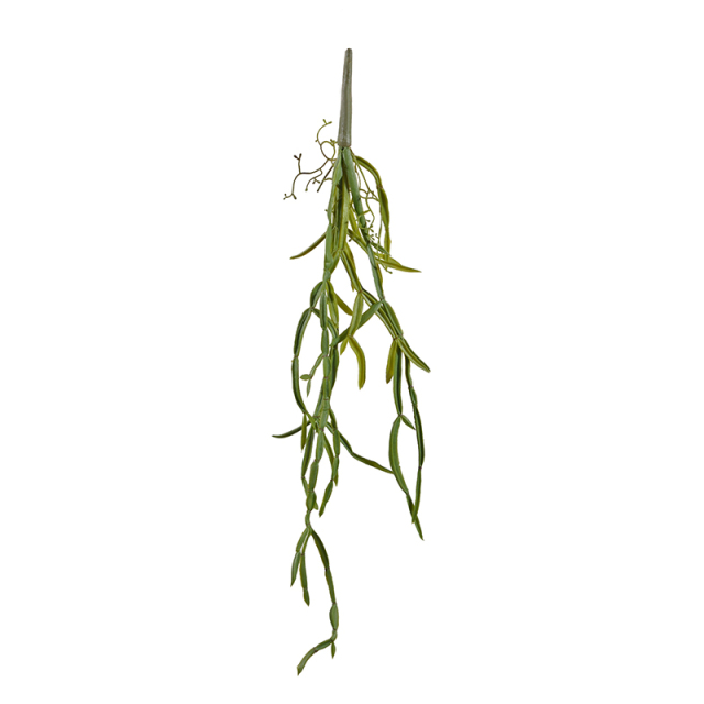 62CM Faux Plastic Grass Plant,62CM Faux Plastic Grass Plant