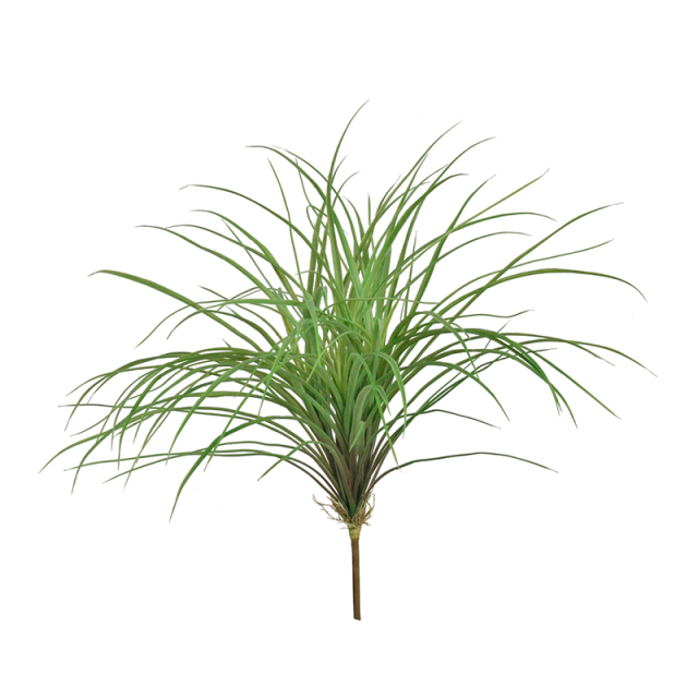 Faux Chlorophytum Comosum Plant (Spider Plant),Faux Chlorophytum Comosum Plant (Spider Plant)