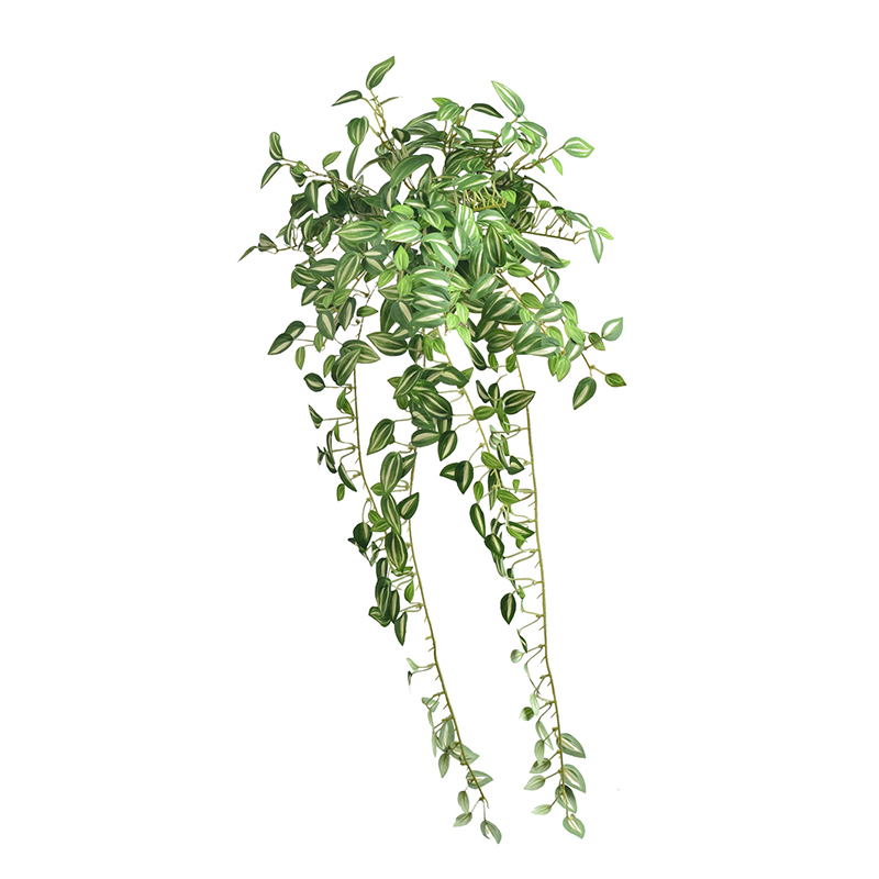 70CM Small Eye-shaped Leaf Hanging Plant,70CM Small Eye-shaped Leaf Hanging Plant