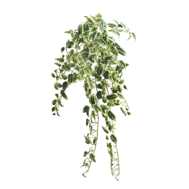 Artificial Buxus Hanging Leaf,Artificial Buxus Hanging Leaf