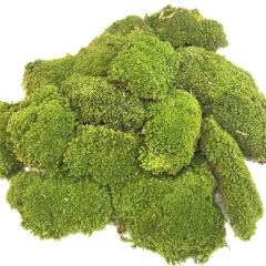 Preserved Pole Moss,Preserved Pole Moss