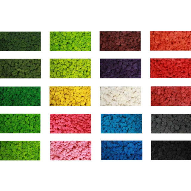 Preserved Reindeer Moss,Preserved Reindeer Moss