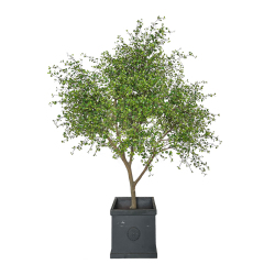 Landscape Decor Custom Design Big Size Faux Leaves Trees,Landscape Decor Custom Design Big Size Faux Leaves Trees