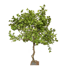 Custom Design Big Size Faux Persimmon Leaf Tree,Custom Design Big Size Faux Persimmon Leaf Tree