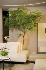 290CM Faux Polyscia Fruticosa Tree,290CM Faux Polyscia Fruticosa Tree