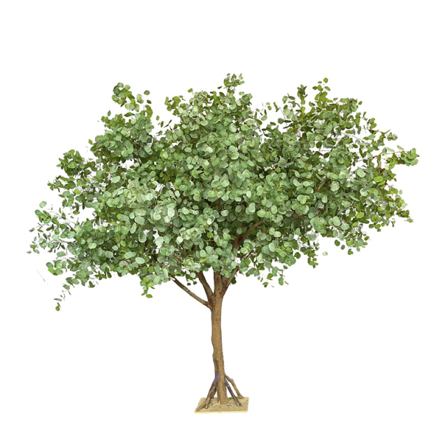 290CM 240CM Big Size Round Leaf Eucalyptus Trees,290CM 240CM Big Size Round Leaf Eucalyptus Trees