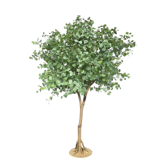 290CM 240CM Big Size Round Leaf Eucalyptus Trees,290CM 240CM Big Size Round Leaf Eucalyptus Trees