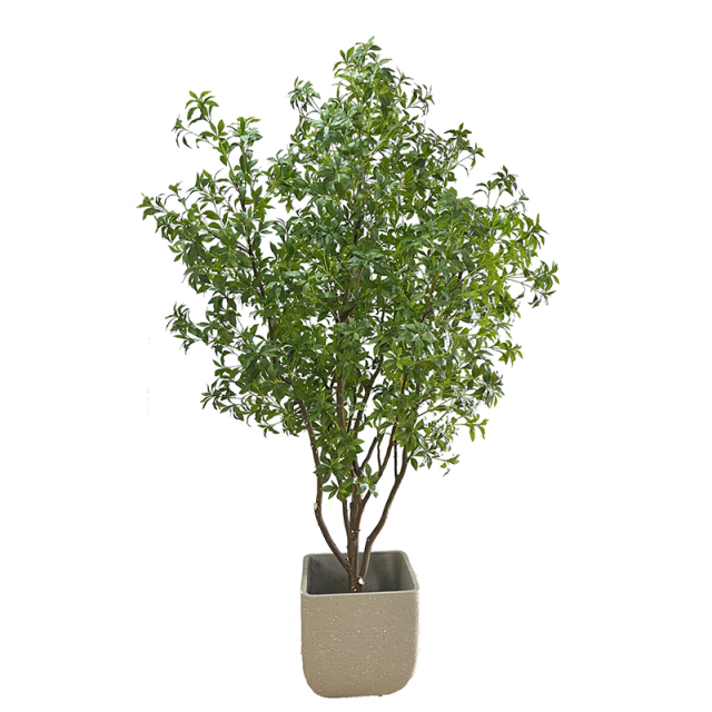 260CM Cement Potted Pieris Leaf Tree,260CM Cement Potted Pieris Leaf Tree