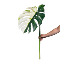Variegated Faux Monstera Leaves,Variegated Faux Monstera Leaves
