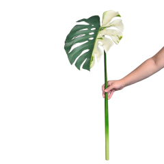 Variegated Faux Monstera Leaves,Variegated Faux Monstera Leaves