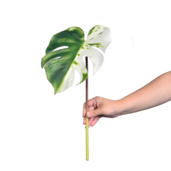 Variegated Faux Monstera Leaves,Variegated Faux Monstera Leaves