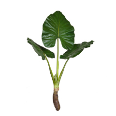 Nearly Natural PU 3 Headed Faux Alocasia Leaf Plant,PU 3 Headed Faux Alocasia Leaf Plant