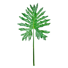 PU Artificial Philodendron Leaves,PU Artificial Philodendron Leaves