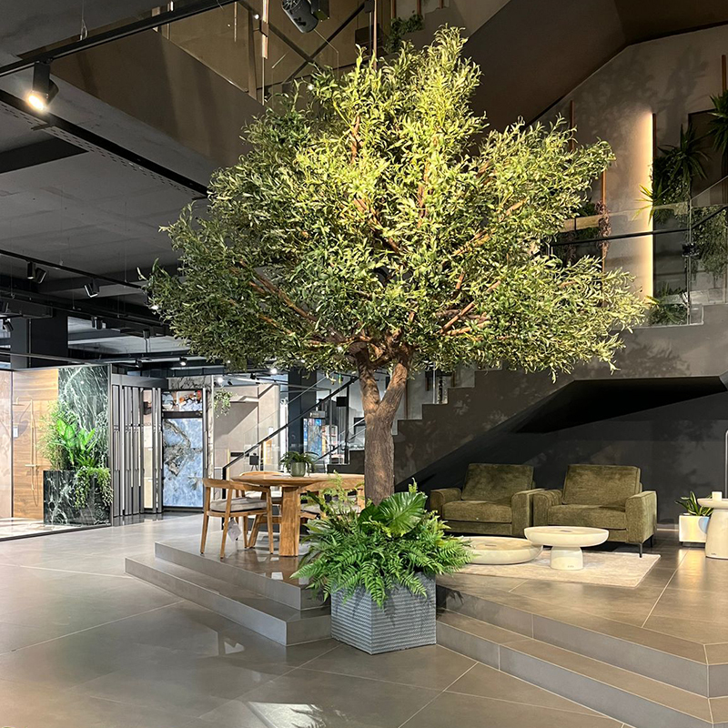 Custom Design 4 Meters Big Size Olive Tree,Custom Design 4 Meters Big Size Olive Tree