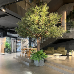 Custom Design 4 Meters Big Size Olive Tree,Custom Design 4 Meters Big Size Olive Tree