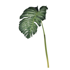 Huge Size Faux Monstera Leaf,Huge Size Faux Monstera Leaf