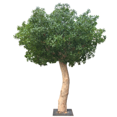 330CM Big Size Big Trunk Artificial Pieris Leaf Tree,330CM Big Size Big Trunk Artificial Pieris Leaf Tree