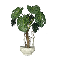 270CM Big Size Monstera Tree in Cement Pot,270CM Big Size Monstera Tree in Cement Pot