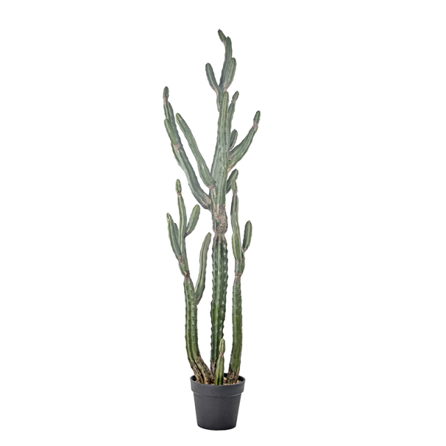 120CM 145CM Faux Potted Cactus Plants,120CM 145CM Faux Potted Cactus Plants
