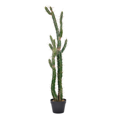 Nearly Natural Potted Cactus Plants with Needles,Nearly Natural Potted Cactus Plants with Needles