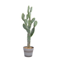 74CM Realistic Potted Cactus Plant,74CM Realistic Potted Cactus Plant