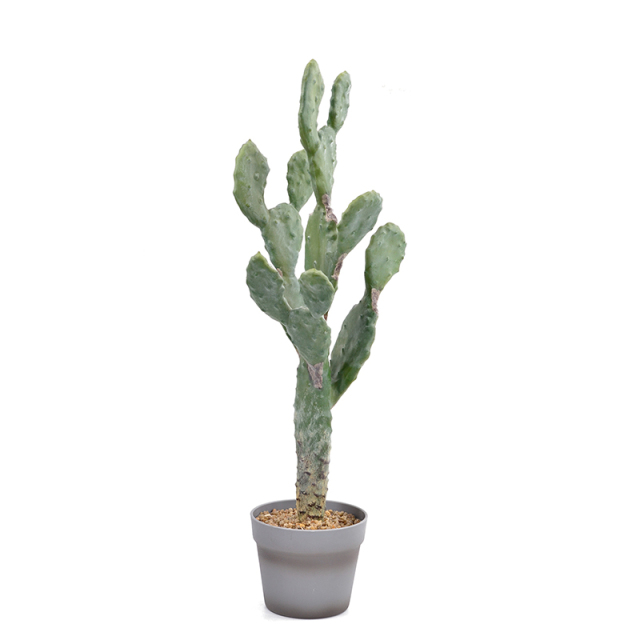 74CM Realistic Potted Cactus Plant,74CM Realistic Potted Cactus Plant